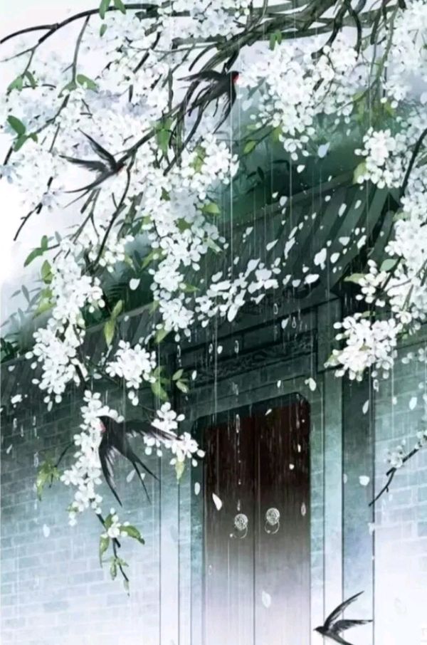 聆听 ‖ 黎琴朗诵《邂逅》作者/周国平（图3）