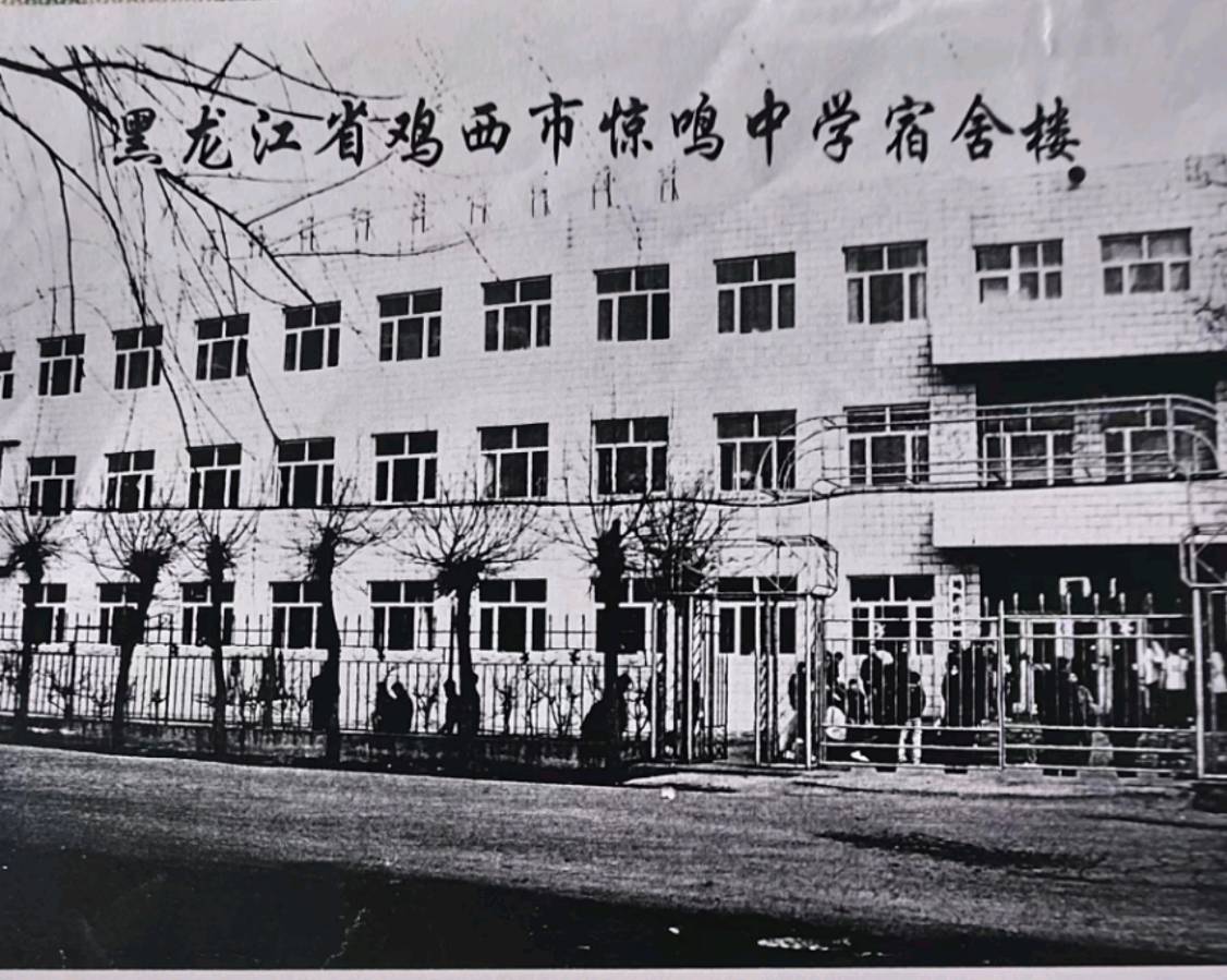 读铁哥王振宇文学大作有感 作者/张洪生（图6）