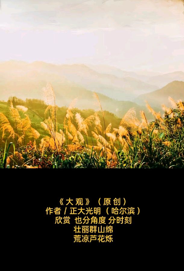 《题图微诗一组 · 悦赏》作者/正大光明（哈尔滨）（图4）