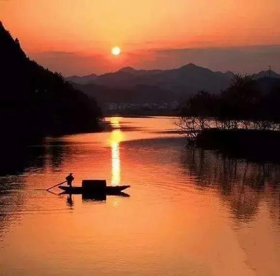 欣赏赵艳老师七绝·醉倒花田（图3）