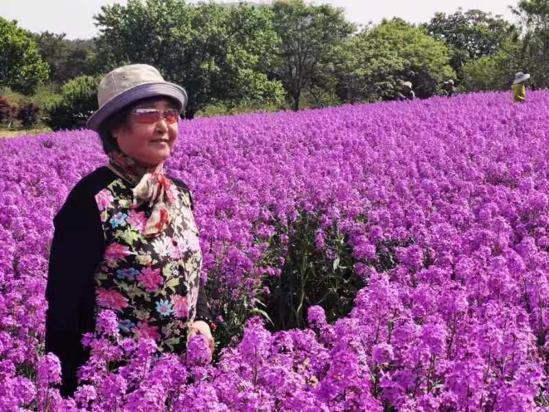 金蘭(沐馨)甲辰之夏原创诗词二十四首/中华诗艺社黑龙江分社推荐(图31)