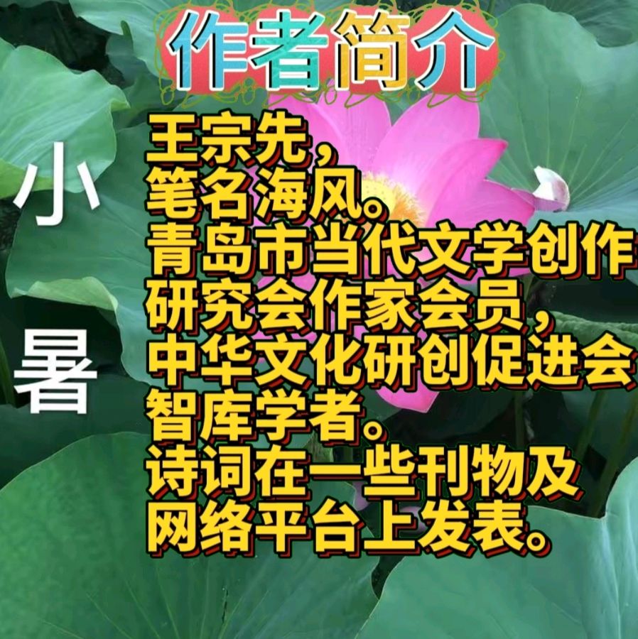 《海风古诗新作》作者:海风 配乐:《诗画音乐》 [中国现代诗歌文化传媒]（图9）
