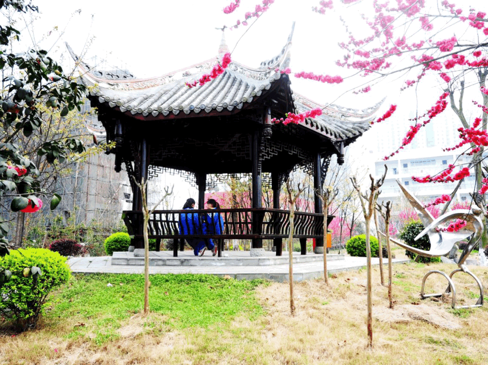 请欣赏四位主播倾情朗诵张华应老师的作品《梦游校园》编辑//海纳百川【中国长江文学社】有声文学平台【第9364期】（图3）