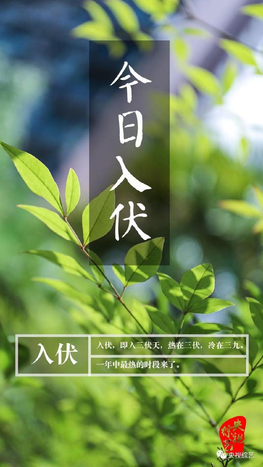 ［双调·水仙子］村原向晚/又是入伏天（文/许碧霞）……莲叶之珠文学社（图4）