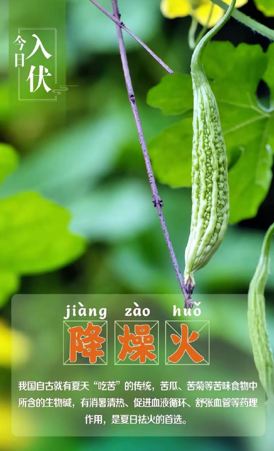 七律-伏天有寄～诗||雅轩琴韵（图8）