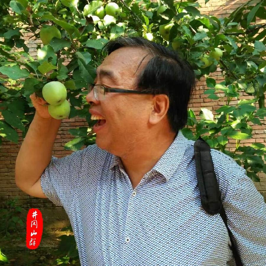 已参评▪写在春天的诗歌（组诗）诗||夏峻（图21）