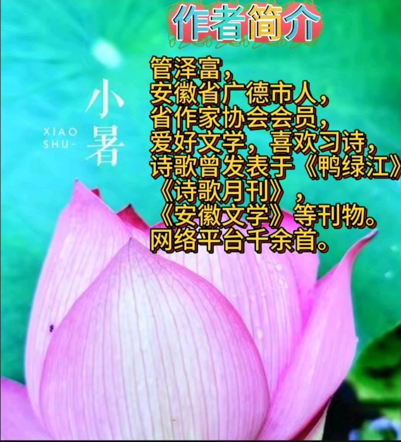 《舞》作者:管泽富 诵读:鸿文 [中国现代诗歌文化传媒]（图7）
