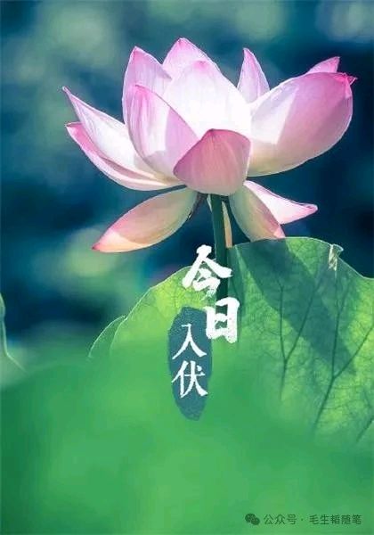 浅说农历入伏节气-作者/毛生韬-西银/北京头条（图2）
