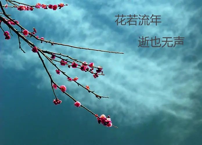 【枫雅汇看图约诗】诗人陈江《273期》(流年,把心安放在文字里)(图8)