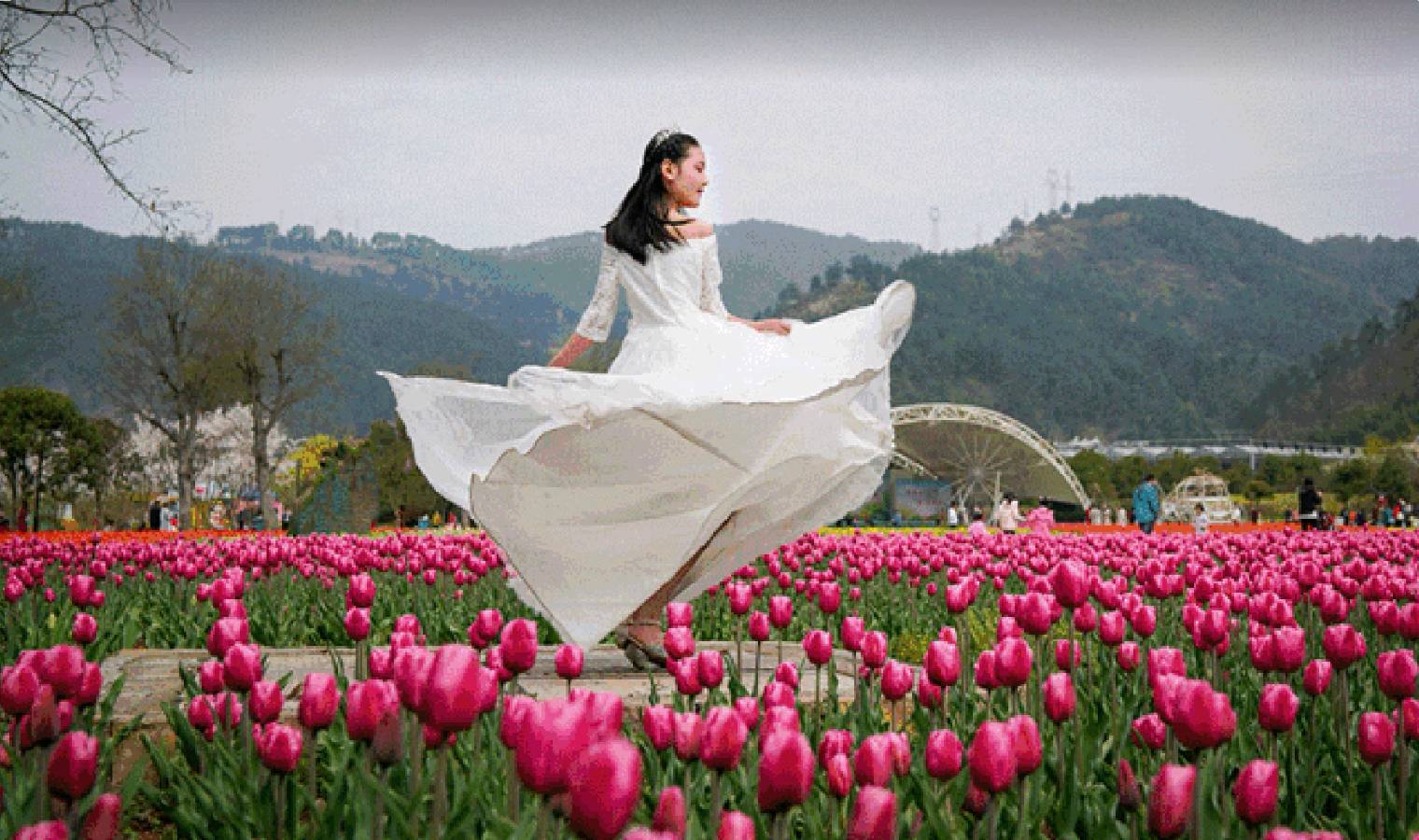 瑞雪丰年 冬日艳阳 馨睿 张丽 金南联袂演绎《组诗十首》作者/陋室居士【花雨馨声】第670期（图5）