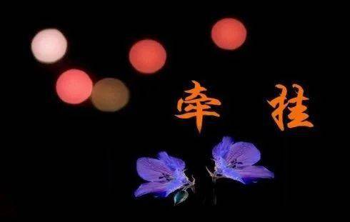 【中华荣耀散文集】 我与小说的不解之缘(6篇) 文/张庆松(图9)