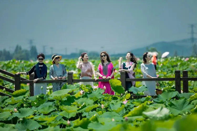 行香子-夏日荷花吟（组合）词||于兴庆（图19）