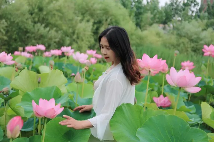 行香子-夏日荷花吟（组合）词||于兴庆（图17）