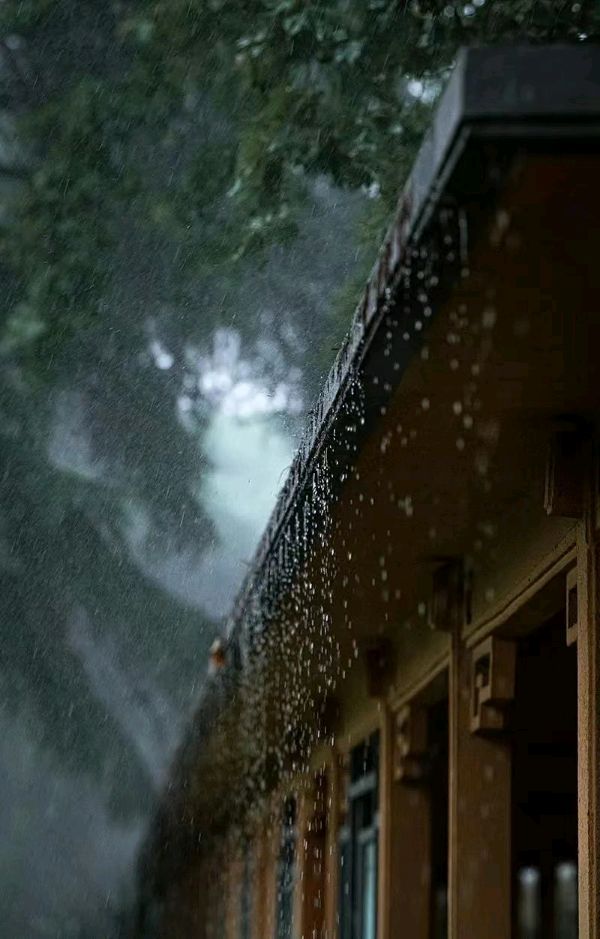 【荣耀中国】轻丝靓淑山风景文/戴海（图7）