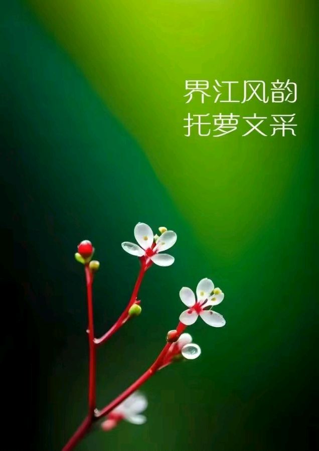 【荣耀中国】欲腾飞题图诗第11期（图9）