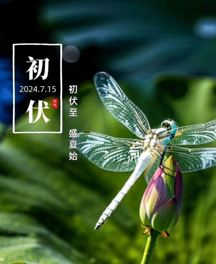 浣溪沙*伏天有寄金夜（兰州）（图3）