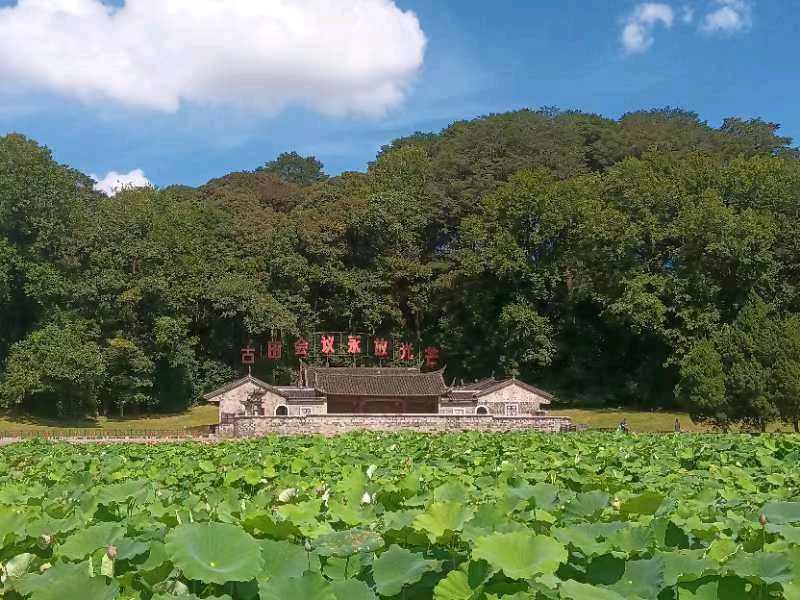作者：巫泊儒《厦门古田红色文化采风诗五章》10786期~新京都文艺（图4）