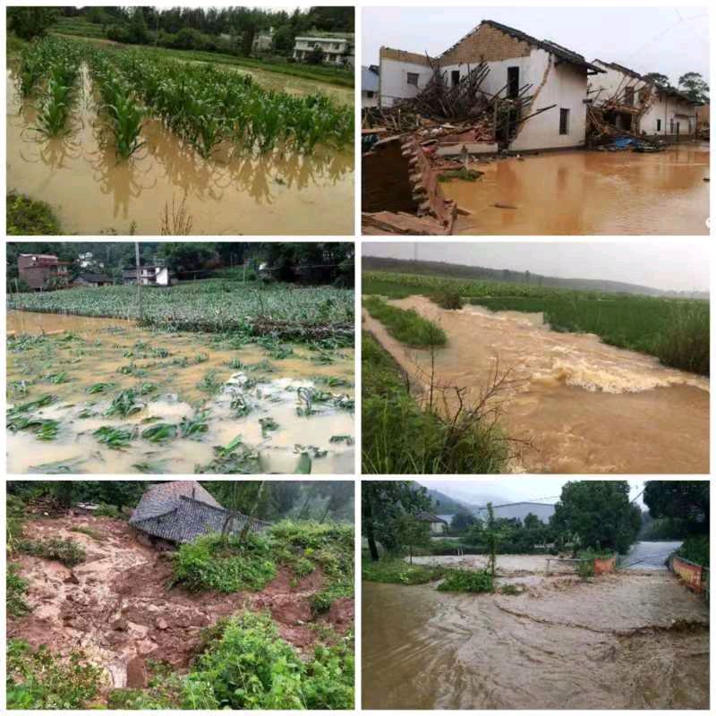 郝秀建的《夏雨连绵秋意浓》