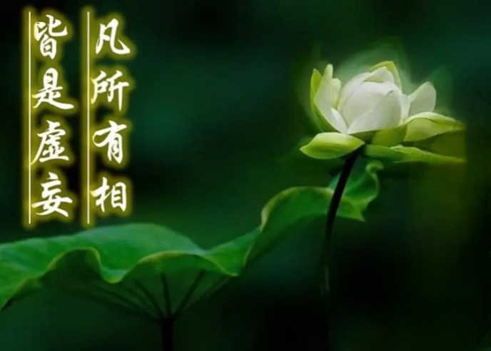 《李佳璐诗词作品赏析》作者:李佳璐(长白之雪) 诵读:鲁冰花 [中国现代诗歌文化传媒]（图5）