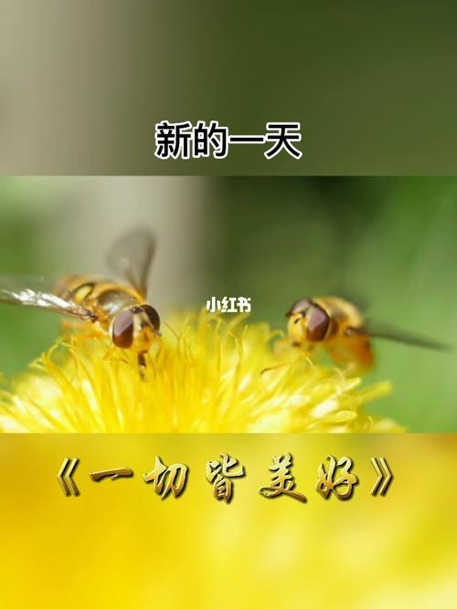 【小芹朗诵厅】作者/高秀军 诗三首（图3）