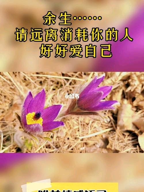 【小芹朗诵厅】作者/高秀军 诗三首（图5）