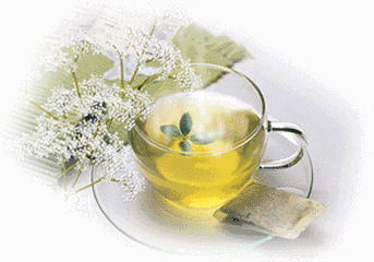【神都诗社】龙门诗苑017期《茉莉花》（图7）