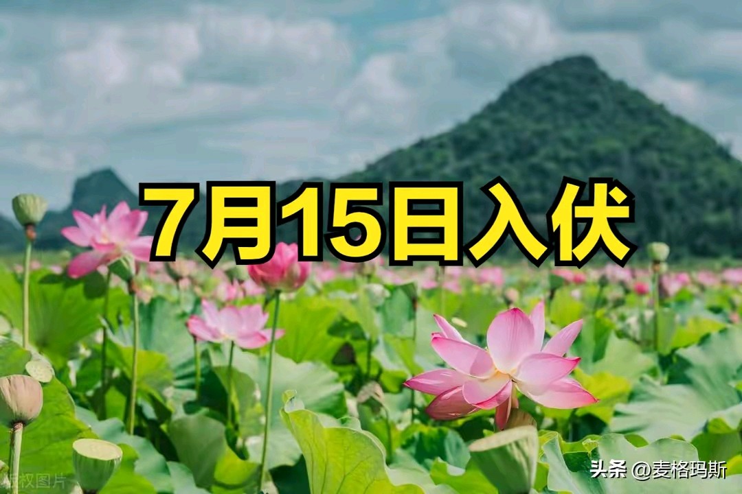 《现代诗人刘文波古诗七律几首》作者:刘文波 配乐:《诗画音乐》 [中国现代诗歌文化传媒]（图7）