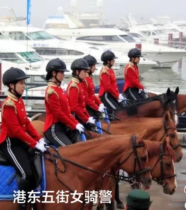 浪漫大连港东五街～诗||李耀文（图15）