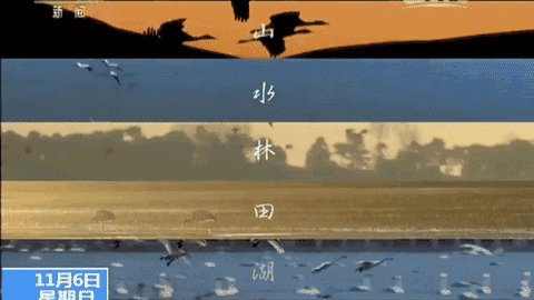 请欣赏《冬天和夏天》作者陈铠/主播·编辑·天娇/【中国长江文学社】有声文学平台/【第9402期】（图8）