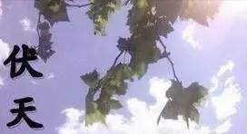 伏天即兴（新韵）金夜（兰州）（图3）