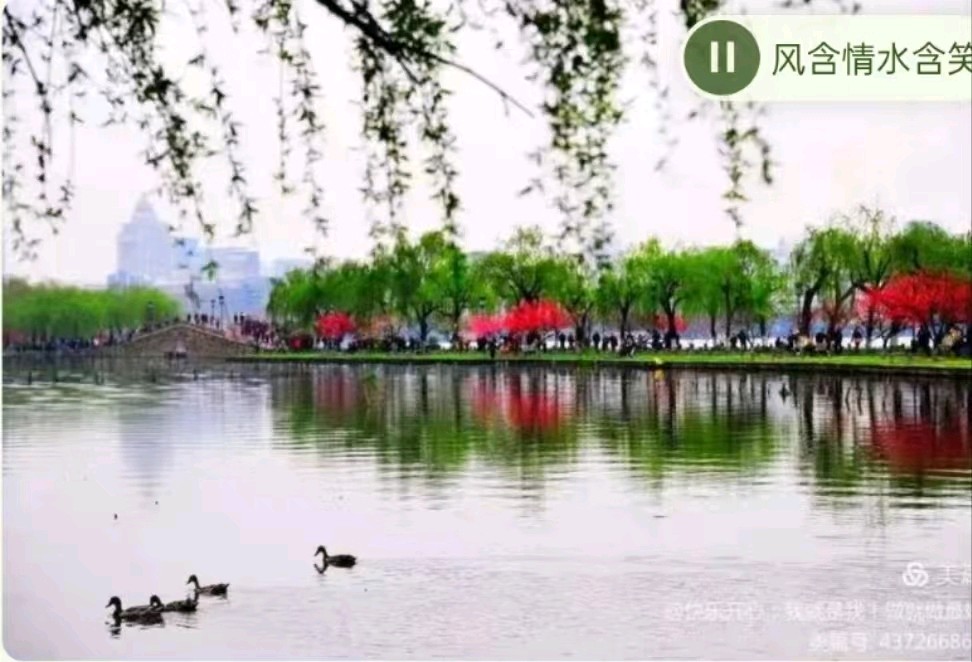 【荣耀中国】小茶一丛题图诗第34期（图22）