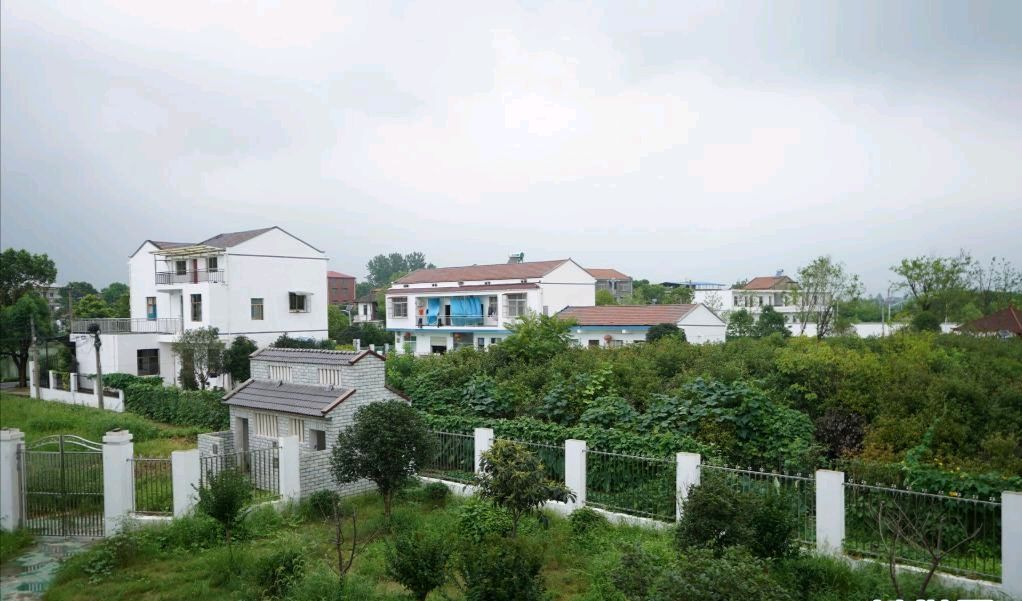 清平乐《乡间见闻》/作者：李德强（图4）
