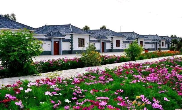 清平乐《乡间见闻》/作者：李德强（图3）