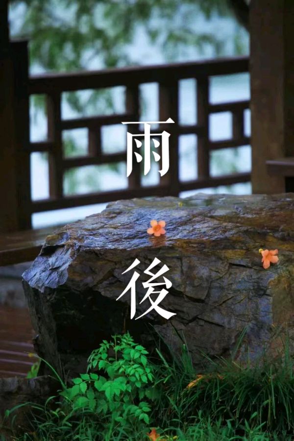 韩庚的《雨后》