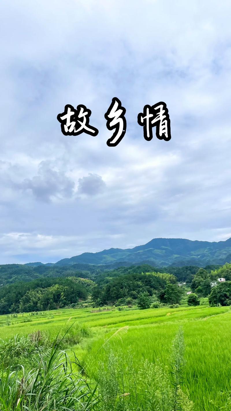 故乡～诗||许卫校（图13）