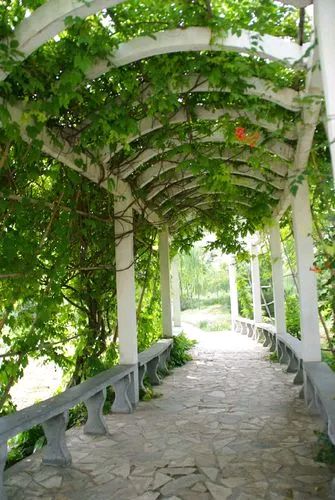 《七绝 · 消夏》文/王发军（图2）