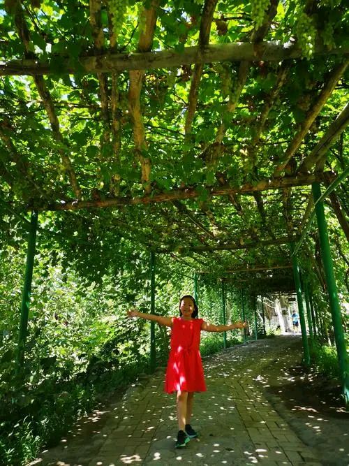 《七绝 · 消夏》文/王发军（图3）