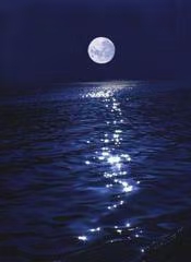 七绝·夏夜（文/冯清明）……莲叶之珠文学社（图4）