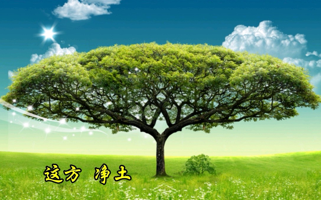 海鹰诵读《这方净土》作者/袁江 编辑制作/青青【花雨馨声】第672期（图6）