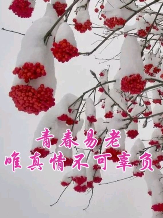 《九江文学社：北京头条》著名歌词作家孙书林先生近期优秀歌词精选（图8）