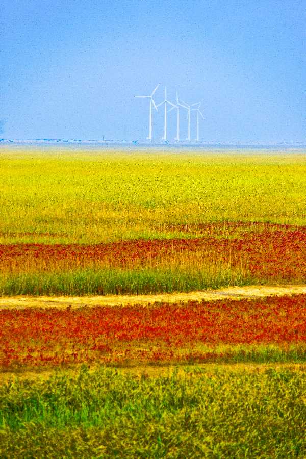七月流火，文坛大家齐聚首。文/向标，图/冯雁军（图4）