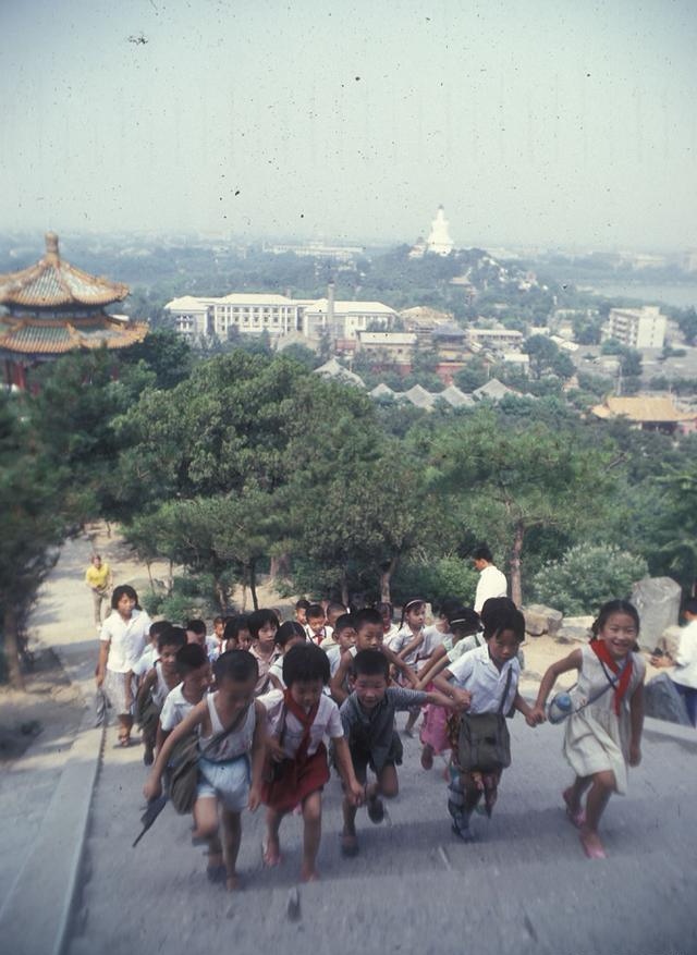 我的小学生涯～文||一农（图10）