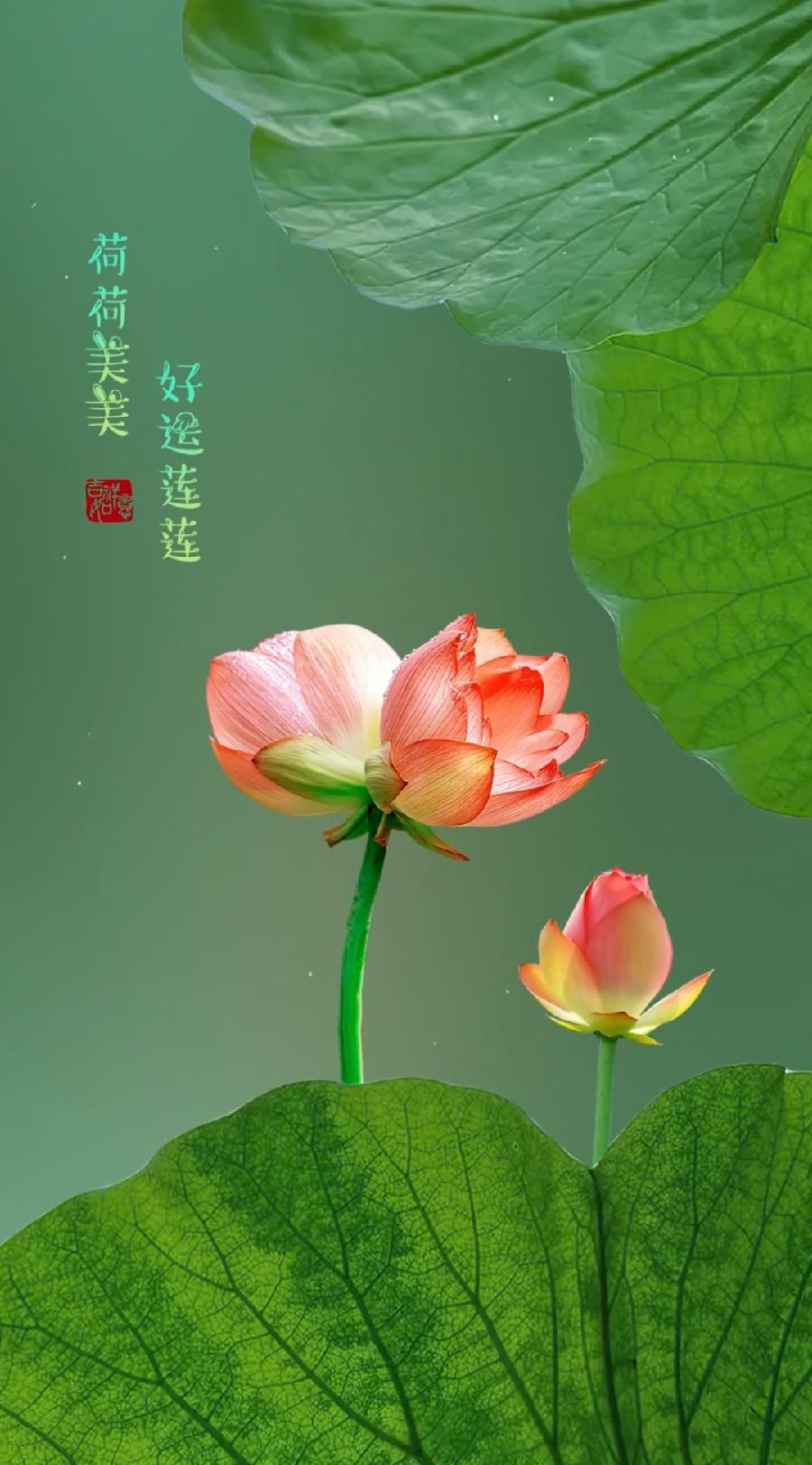 七绝-晚晴（外两首）诗||马文智（图8）