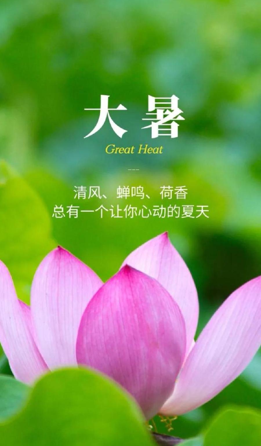 七律-大暑吟～诗||雅轩琴韵（图8）