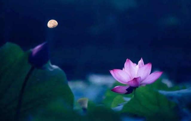 【诗歌大观】我想问问月亮||文/最美的时光（图3）
