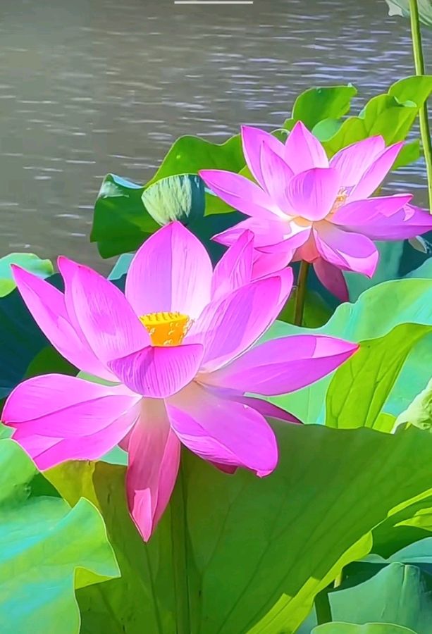 唐风格律诗选：七律（五首）（图2）
