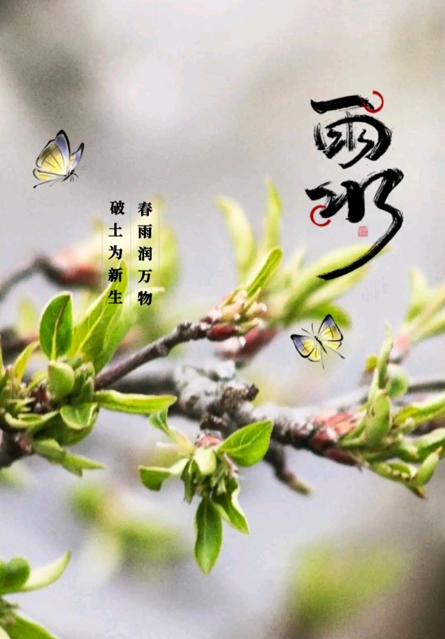欣赏郑金波老师自由诗·《雨的诗意》（图6）