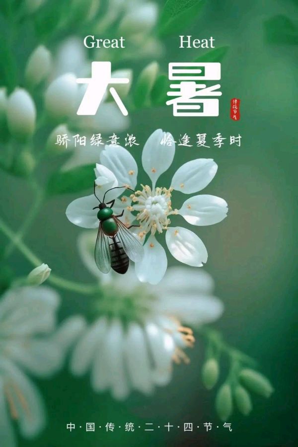 七律·大暑 作者/卓顺贵（图2）