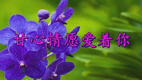 【重磅推出】“农民诗人”曹南强//爱难忘（图3）