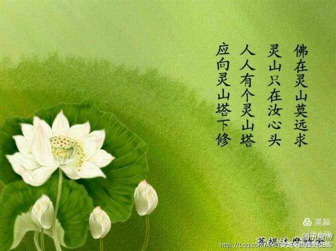 【重磅推出】“农民诗人”曹南强//爱难忘（图5）